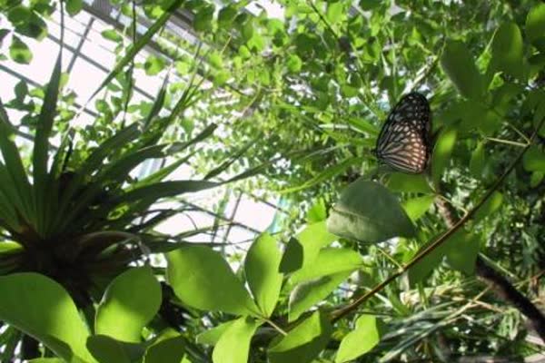 足立区生物園の写真