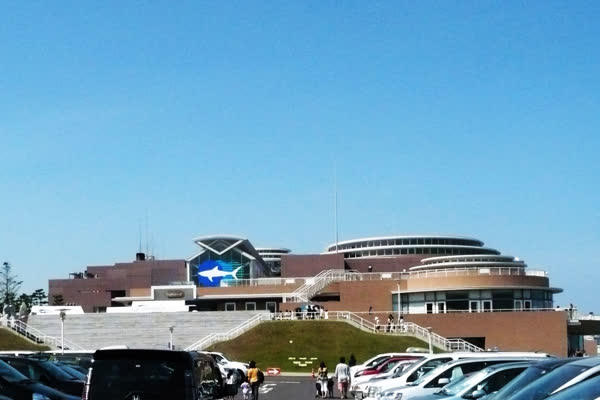 アクアワールド茨城県大洗水族館の写真