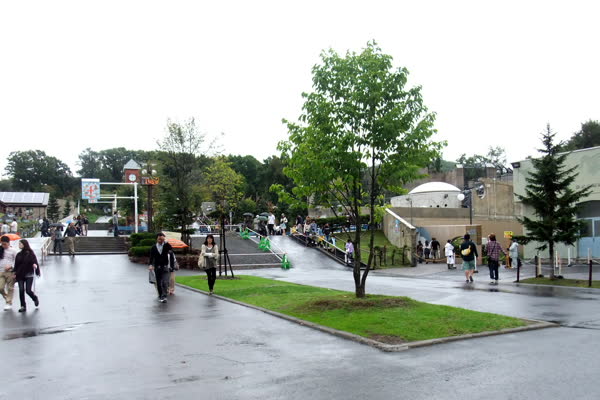 旭川市旭山動物園の写真