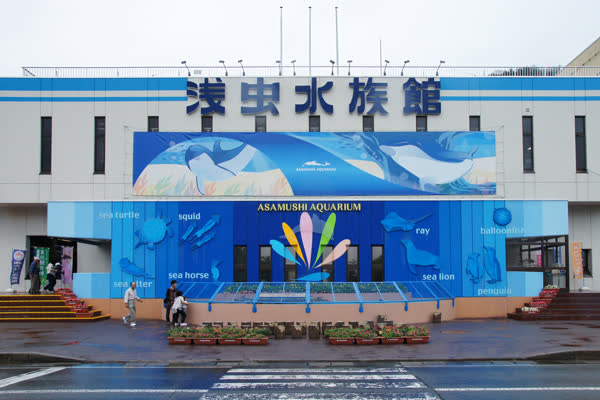 浅虫水族館の写真
