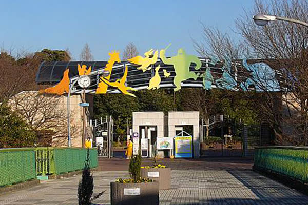 千葉市動物公園の写真