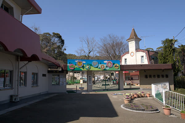 福岡市動物園の写真