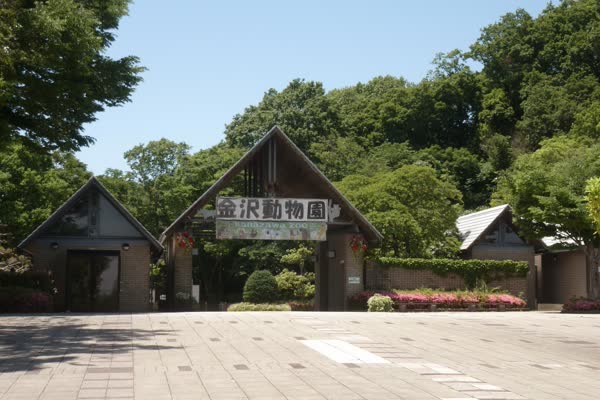 横浜市立金沢動物園の写真
