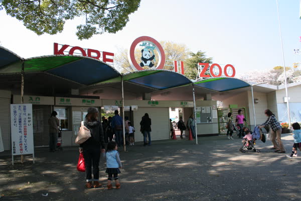 王子動物園の写真