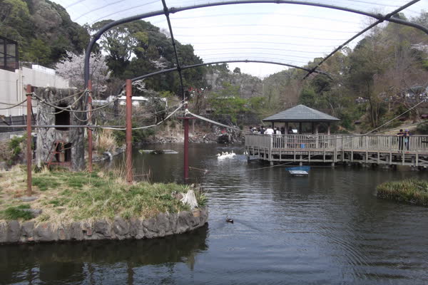 日本平動物園の写真