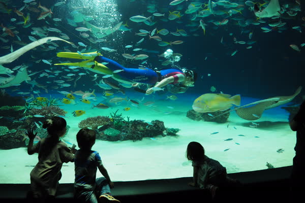 サンシャイン水族館の写真