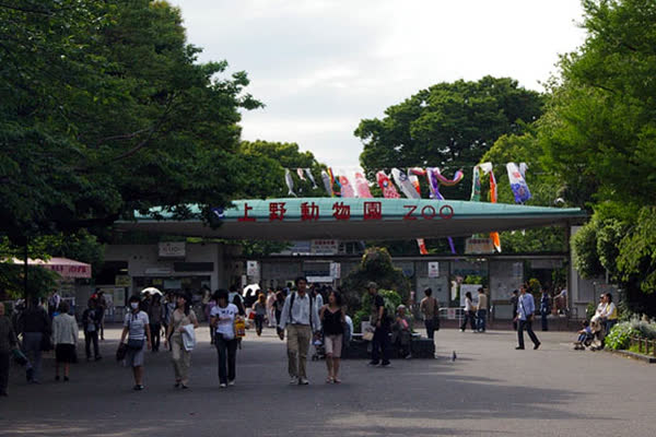 恩賜上野動物園の写真