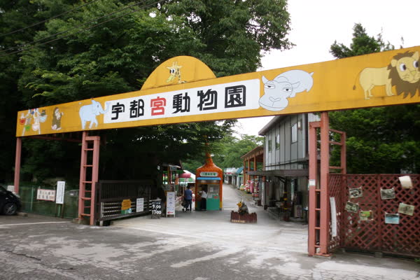 宇都宮動物園の写真