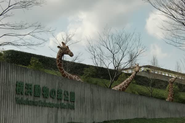 よこはま動物園ズーラシアの写真